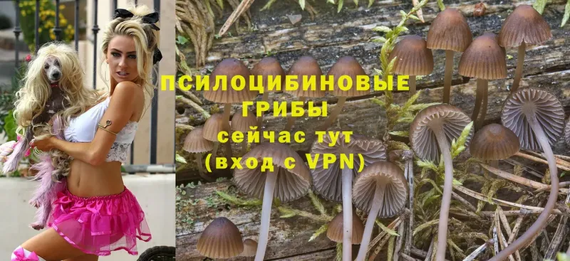 Псилоцибиновые грибы Magic Shrooms  Белоярский 